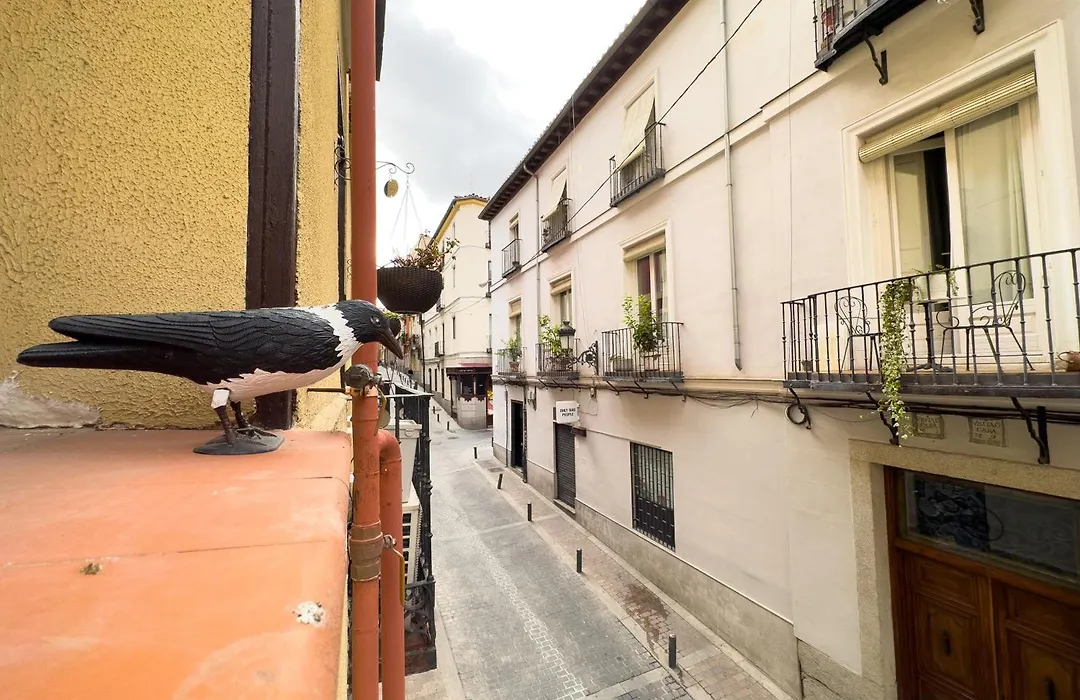 DISFRUTA del Barrio de las Letras Tu segundo hogar en Madrid-1